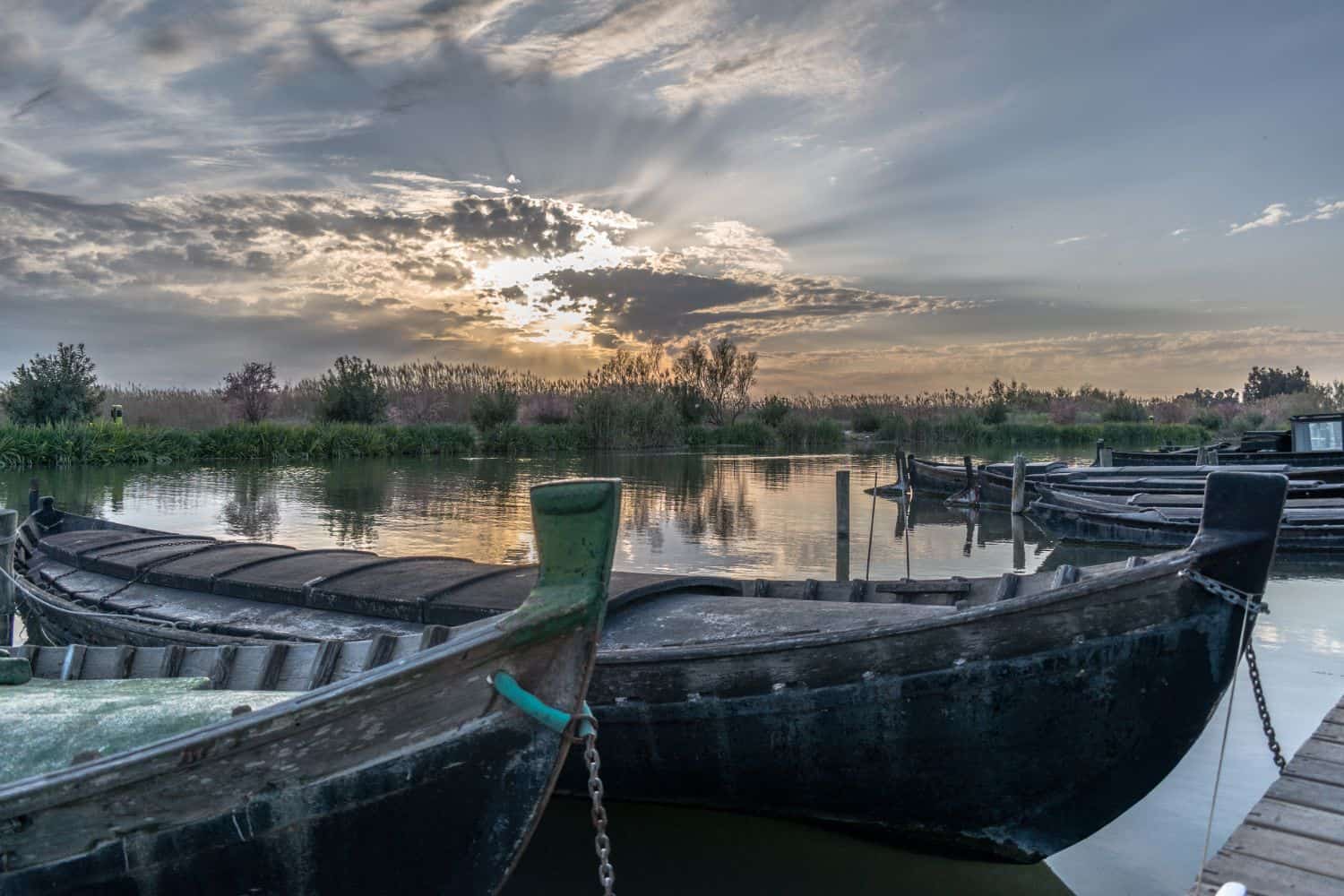 albufera valencia