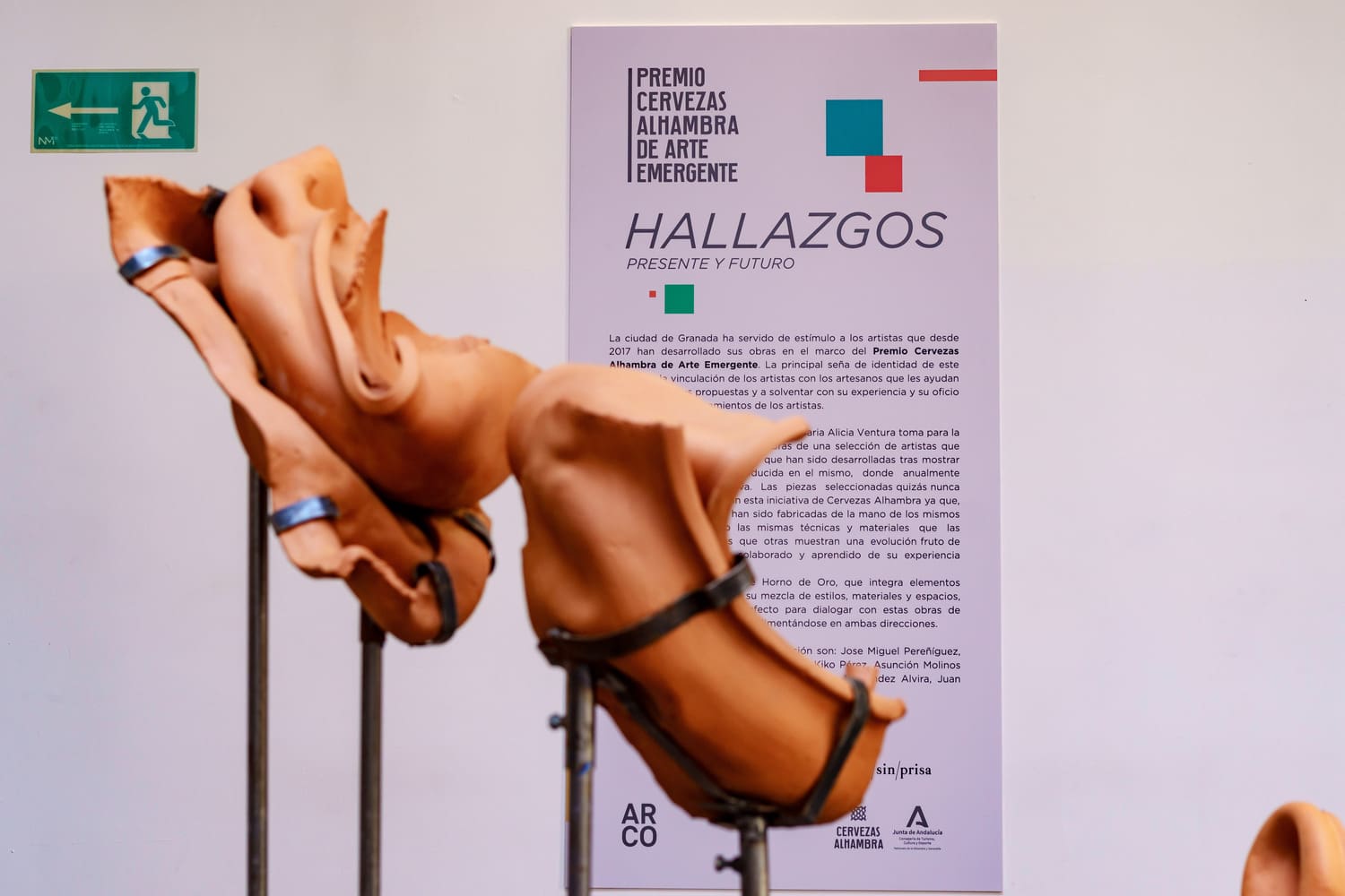 hallazgos artes emergente