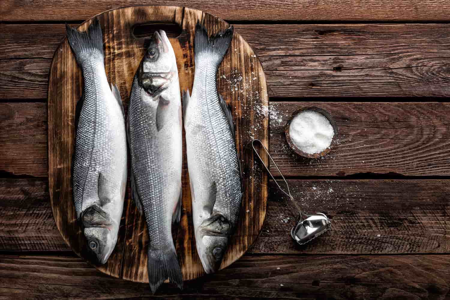 pescado de febrero lubina