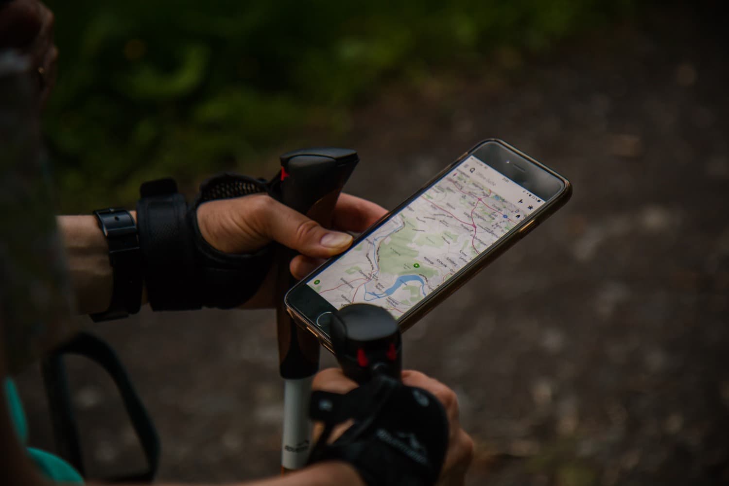 Con estas ‘apps’ parecerás Gerald Durrell en tus paseos por el campo