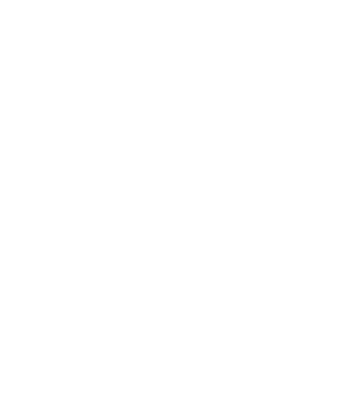 Cumplimos 100 años. Desde 1925 creamos sin prisa unas cervezas únicas, inspiradas en el arte y en la manera  de entender la vida de Granada.